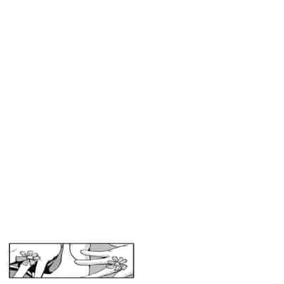 [Tanishi] Jun Ai [Chinese]