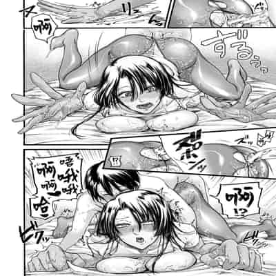 hasebe souutsu collection