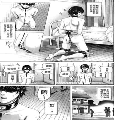 hasebe souutsu collection