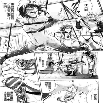 hasebe souutsu collection