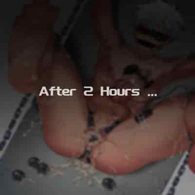 [R18G] [Chinese]Mercenary Boy -2-