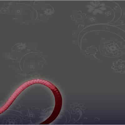 [KAMINENDO CORP (Akazawa RED)] Bouken no Sho Series Soushuuhen - The Adventurer's Book has Perfect Vol 1 [Chinese] [Digital]