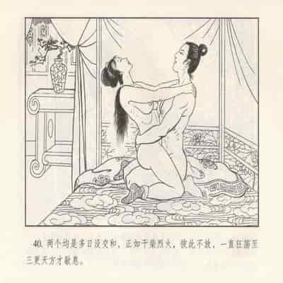 金瓶梅 第四 ~ 十回 (八字金)[中国古善文化出版社]