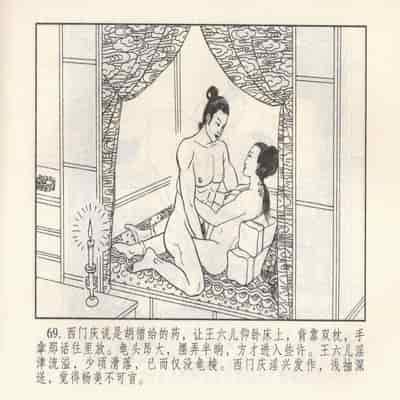 金瓶梅 第四 ~ 十回 (八字金)[中国古善文化出版社]