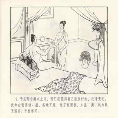 金瓶梅 第四 ~ 十回 (八字金)[中国古善文化出版社]