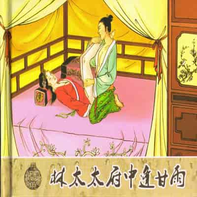 金瓶梅 第四 ~ 十回 (八字金)[中国古善文化出版社]