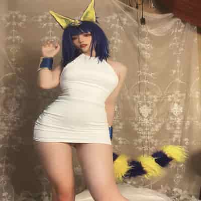 Kiji Lump Will-Dusty 貓