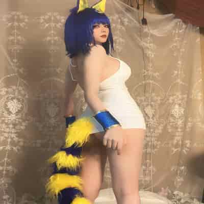 Kiji Lump Will-Dusty 貓