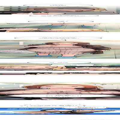 要對媽媽保密唷!-it's a secret 23-26 Chi mangaroshionline