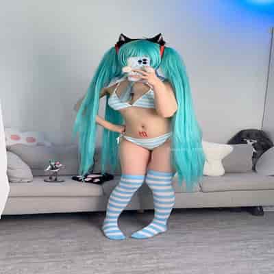 Seele麦麦 - 初音未来