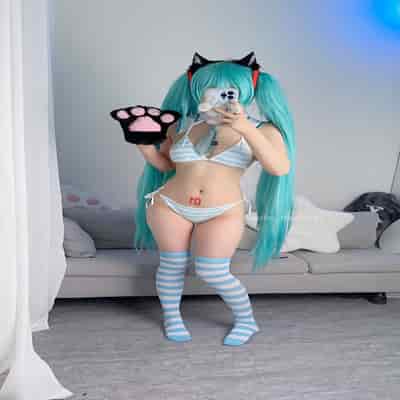 Seele麦麦 - 初音未来