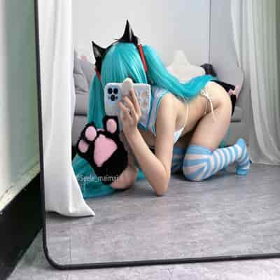 Seele麦麦 - 初音未来