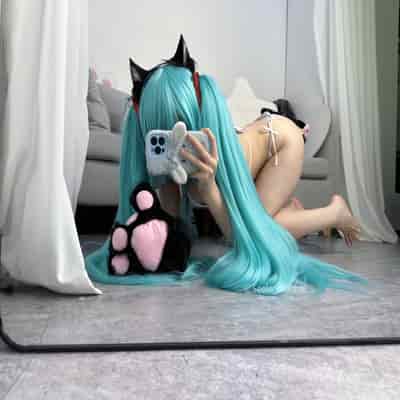 Seele麦麦 - 初音未来