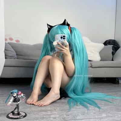 Seele麦麦 - 初音未来