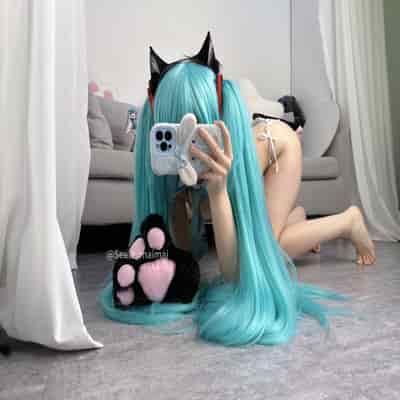 Seele麦麦 - 初音未来