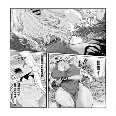 [猪武者] ダークエルフは抗えない [中国翻訳]