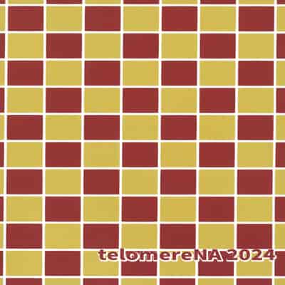 (C104) [てろめあな (ぐすたふ)] はじめてつけない (機動戦士ガンダムSEED)｜第一次的黏膜接触 [欶澜汉化组]