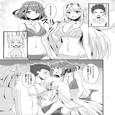 (C103) [ShaDraw (かげみや)] にゃんにゃんニアちゃん2 (ゼノブレイド2)