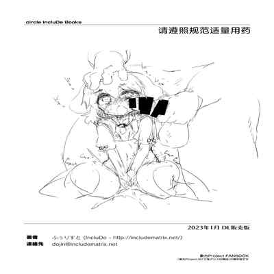 [IncluDe (Foolest)] Okusuri wa Youhou Youryou o Mamotte丨请按照规范适量用药 (Touhou Project) [Chinese] [永远亭雷德王个人汉化] [Digital]