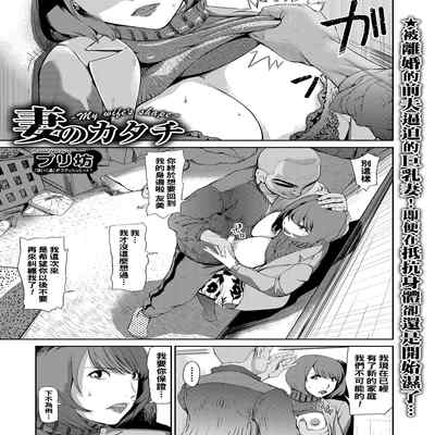 [Puribou] Tsuma no Katachi (Web Comic Toutetsu Vol 14) [Chinese]
