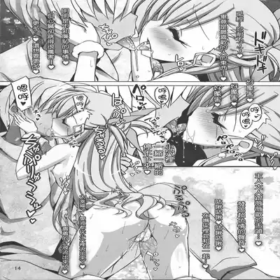 (C91) [Shiwodou (Shiwo )] Multiple☆Tinkle (Mahou Shoujo Lyrical Nanoha) [Chinese] [心海汉化组]