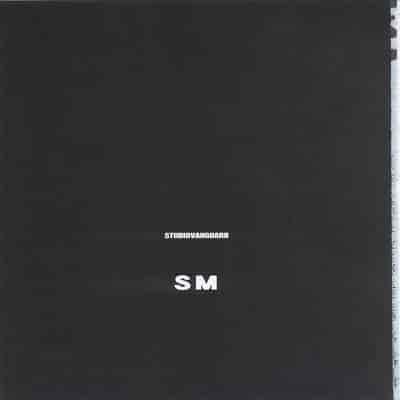 (C63) [STUDIO VANGUARD (Minazuki Juuzou)] SM (Bishoujo Senshi Sailor Moon)[Chinese]